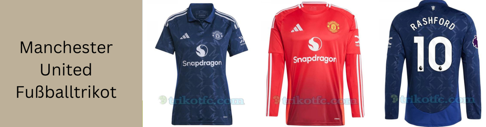 Premier Paint Protection, Coatings & Window Tint Shop in Roanoke, TX
                